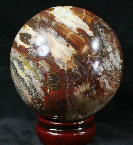 Colorful Petrified Wood Sphere #20640
